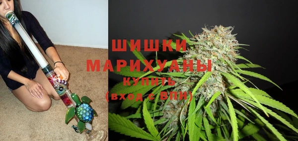 винт Армянск